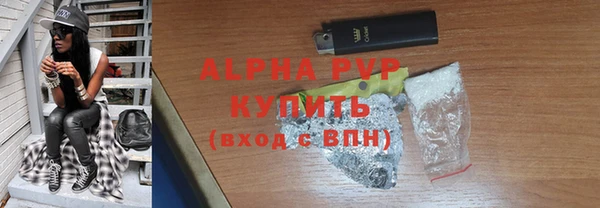 прущие грибы Бородино