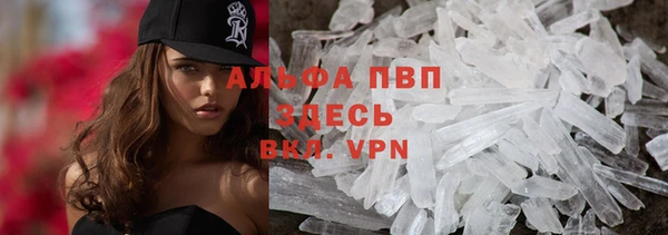 таблы Богданович