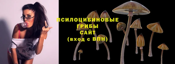 соль ск Бугульма