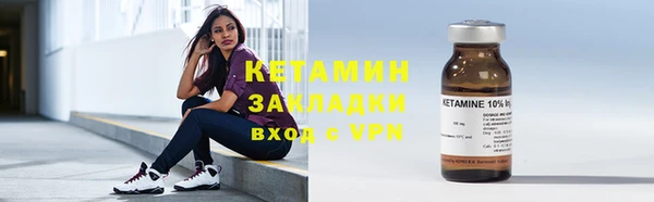 прущие грибы Бородино