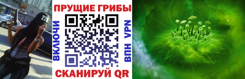 Галлюциногенные грибы Psilocybe  Болхов 